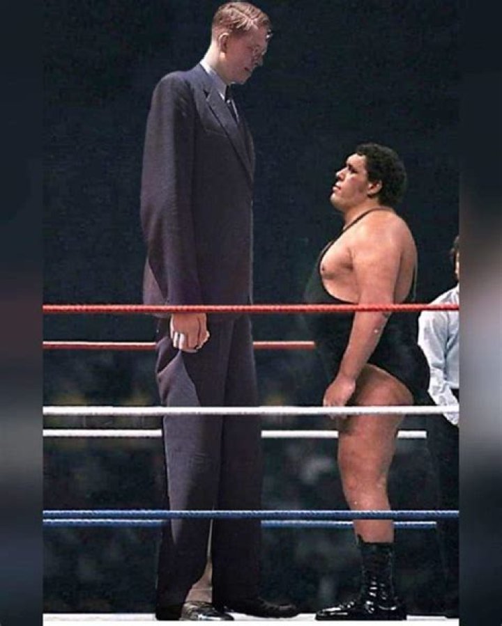 21 André The Giant Photos That Make The World Look Unbelievably Tiny