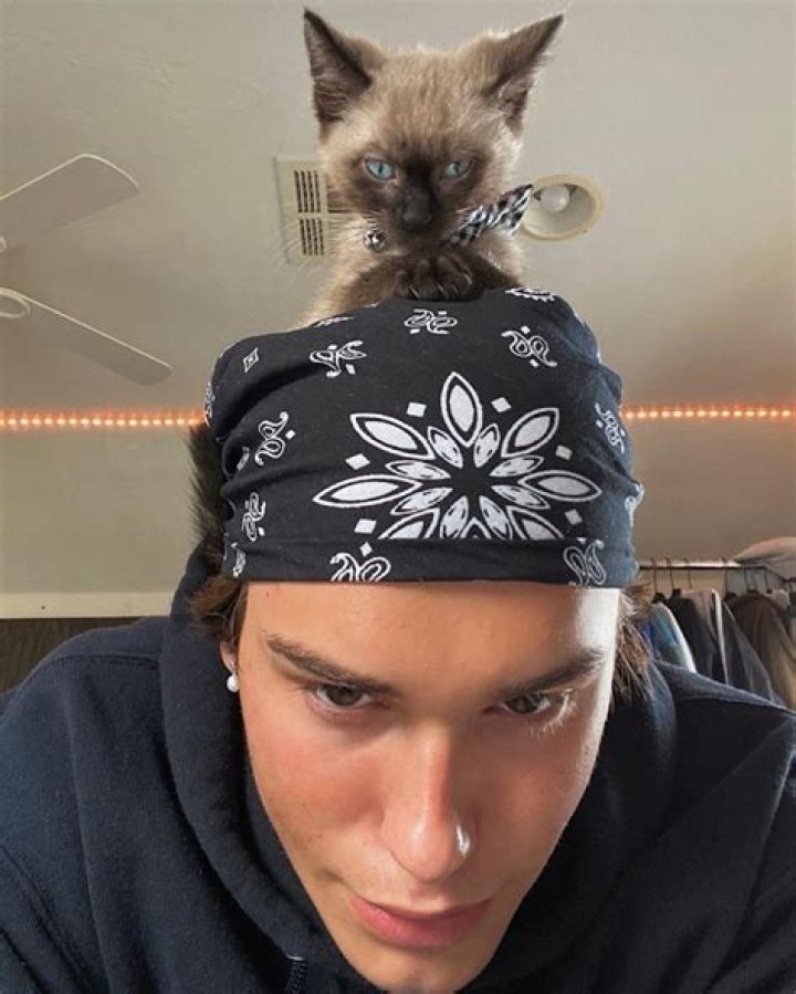 Broghan Semrad Age | Wiki, Net worth, Bio, Height, Girlfriend