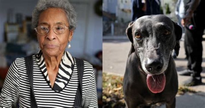 Civil Rights Activist Jean McGuire Survives Stabbing Attack