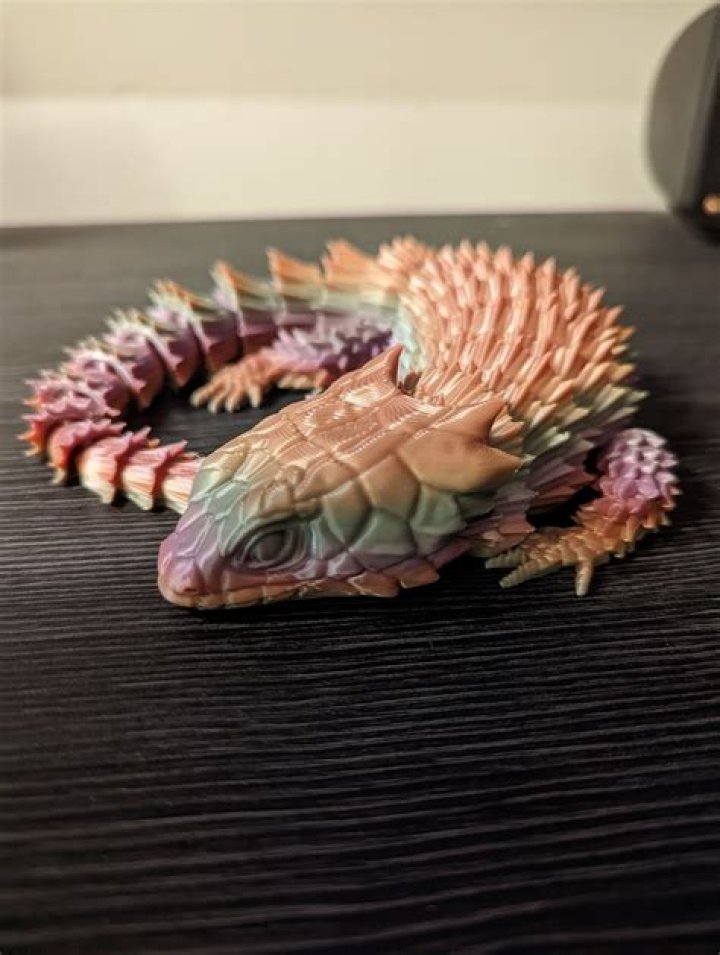 Meet The Armadillo Lizard: Planet Earth's Real-Life Mini-Dragon