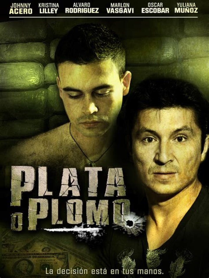 Plata o Plomo video statistics
