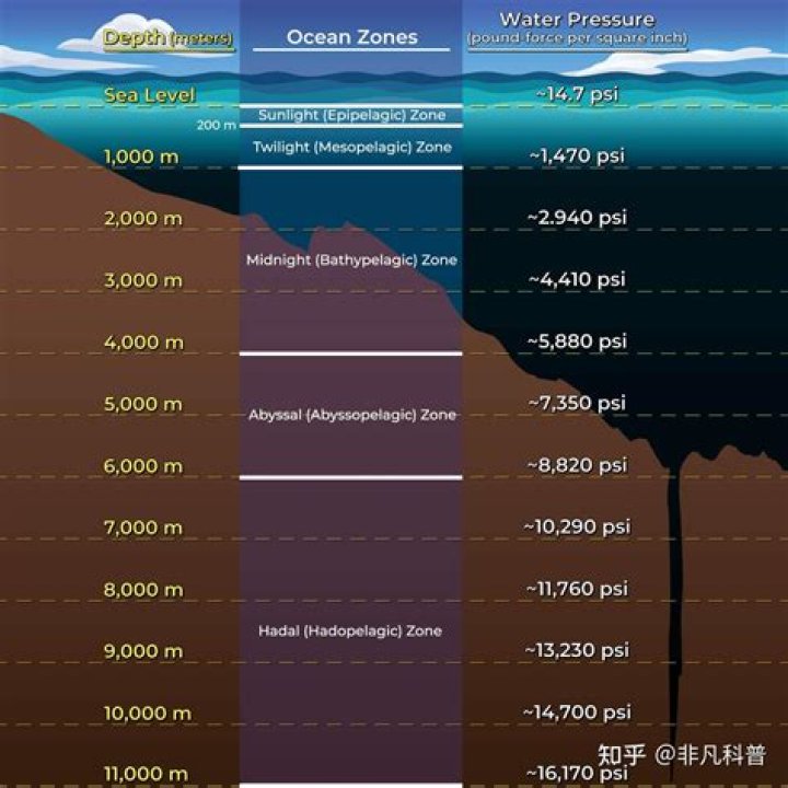 Tourists Can Pay $125,000 To Dive 13,000 Feet Underwater To Titanic