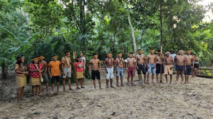 Unlocking The Mysteries Of The Amazon's Awá-Guajá Tribe